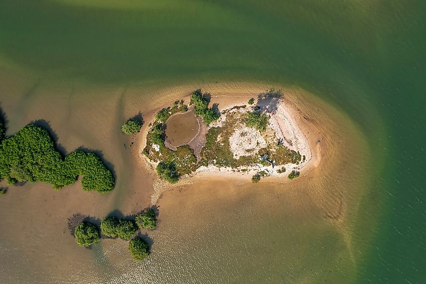 Bird eye view of a Mangrove isle on lake Piso, Liberia